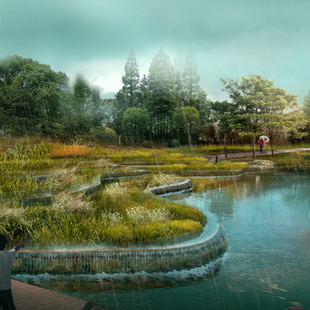 雁郡绿肺——山西代县滹沱河湿地公园生态景观设计2
