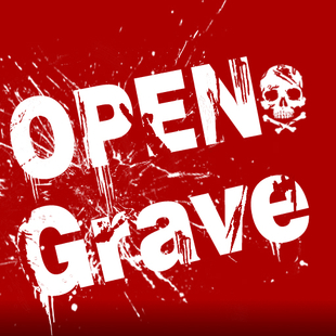 《Open Grave》效果图 游戏图标