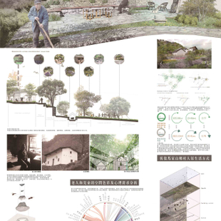 当归-乡村景观重构再生设计展板2