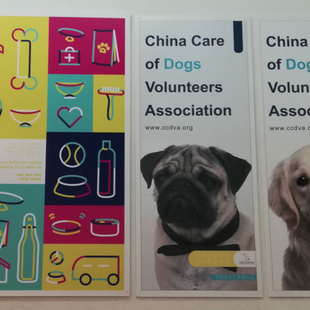 中国爱犬志愿者协会品牌形象设计1