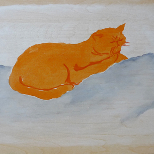 橙色的猫
