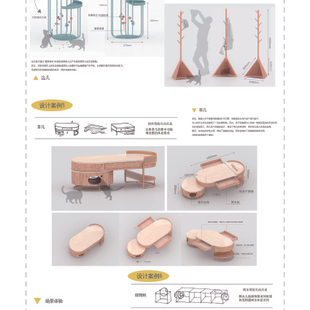 人与宠物猫的互动式家具设计