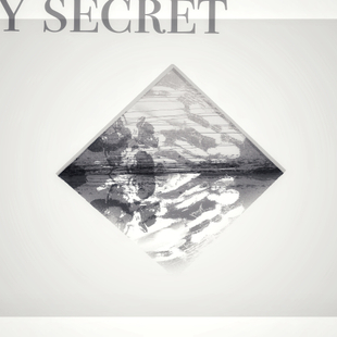 《我的秘密——封面-不得》