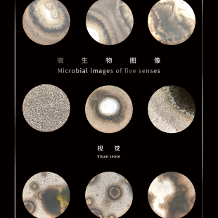 《无我不在》微生物图像海报#1视觉