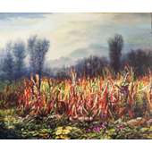 王金花 《玉米地》布面油画 尺寸（50x60）cm  作者：王金花 2017年创作