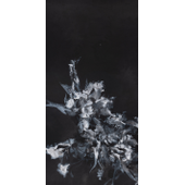 金晶 《花的类像II》 水墨 140X70cm 2020 金晶.jpg