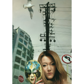 王念东 天空下的面具 2008 布面油画 160×113cm.jpg