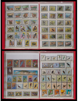 世界鸟类专题邮票收藏集六册约3500馀枚