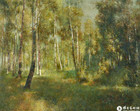 圣彼得堡的白桦林^_^Birch Forest in St. Petersburg