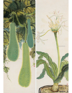盆花與青瓜