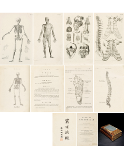 1802年德国人体解剖版画集、人体系统解剖学两种