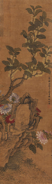 桂菊图