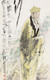 善行（局部）