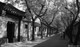 胡同印象001 遂安伯胡同 1997
