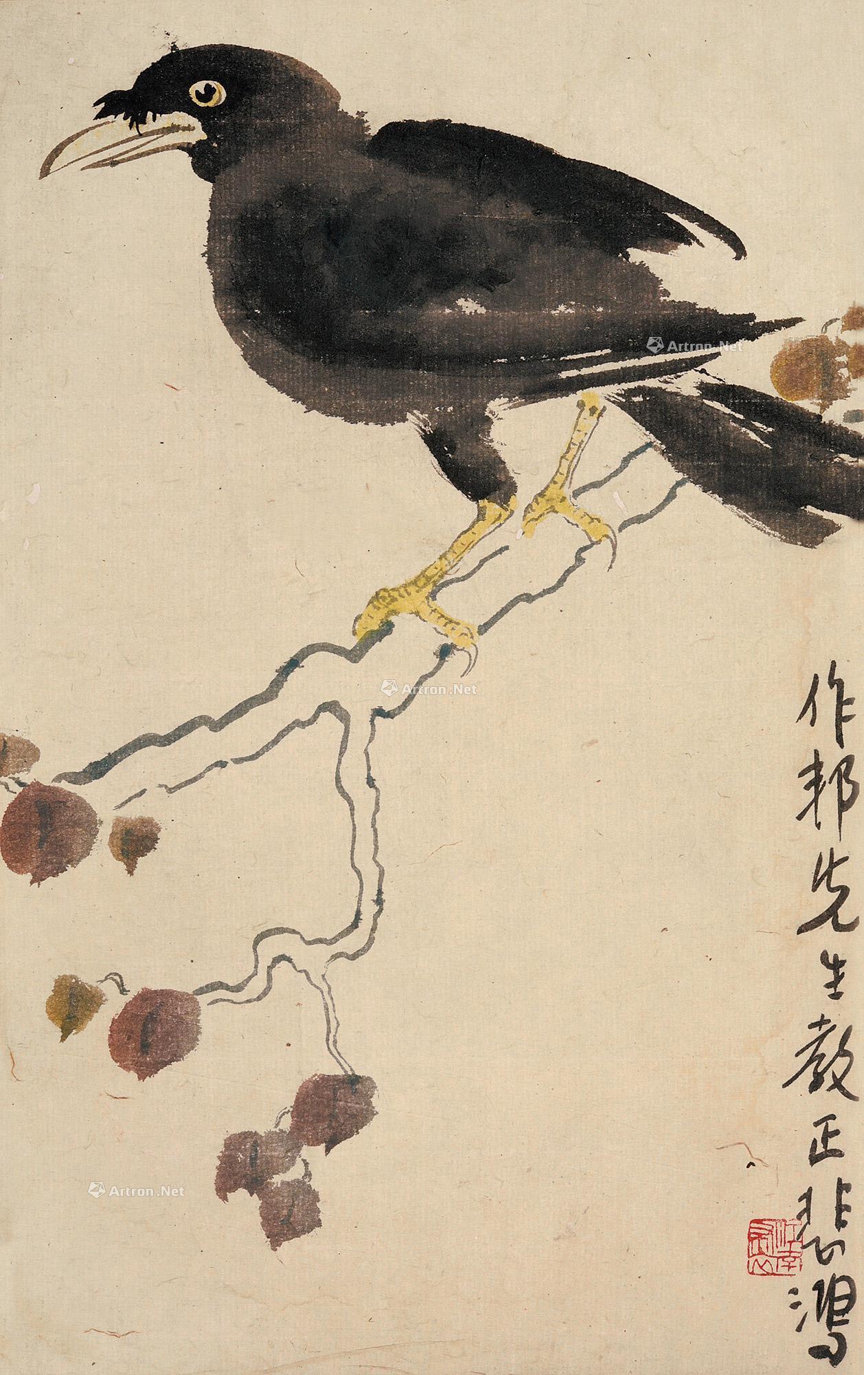 1131八哥镜心设色纸本