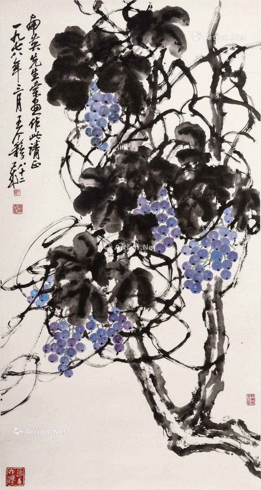 02081978年作葡萄藤镜心设色纸本