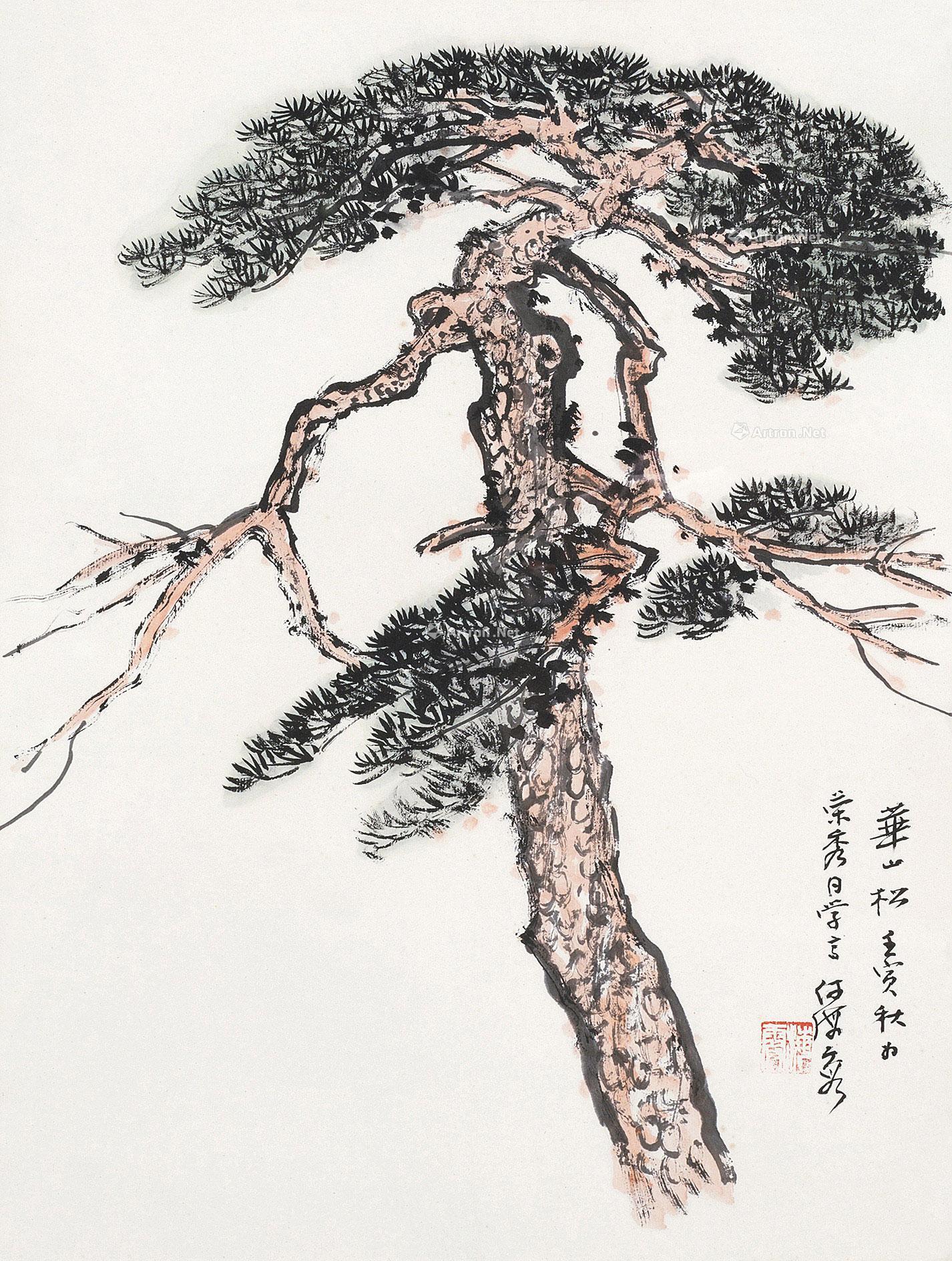 08081962年作华山松镜框设色纸本