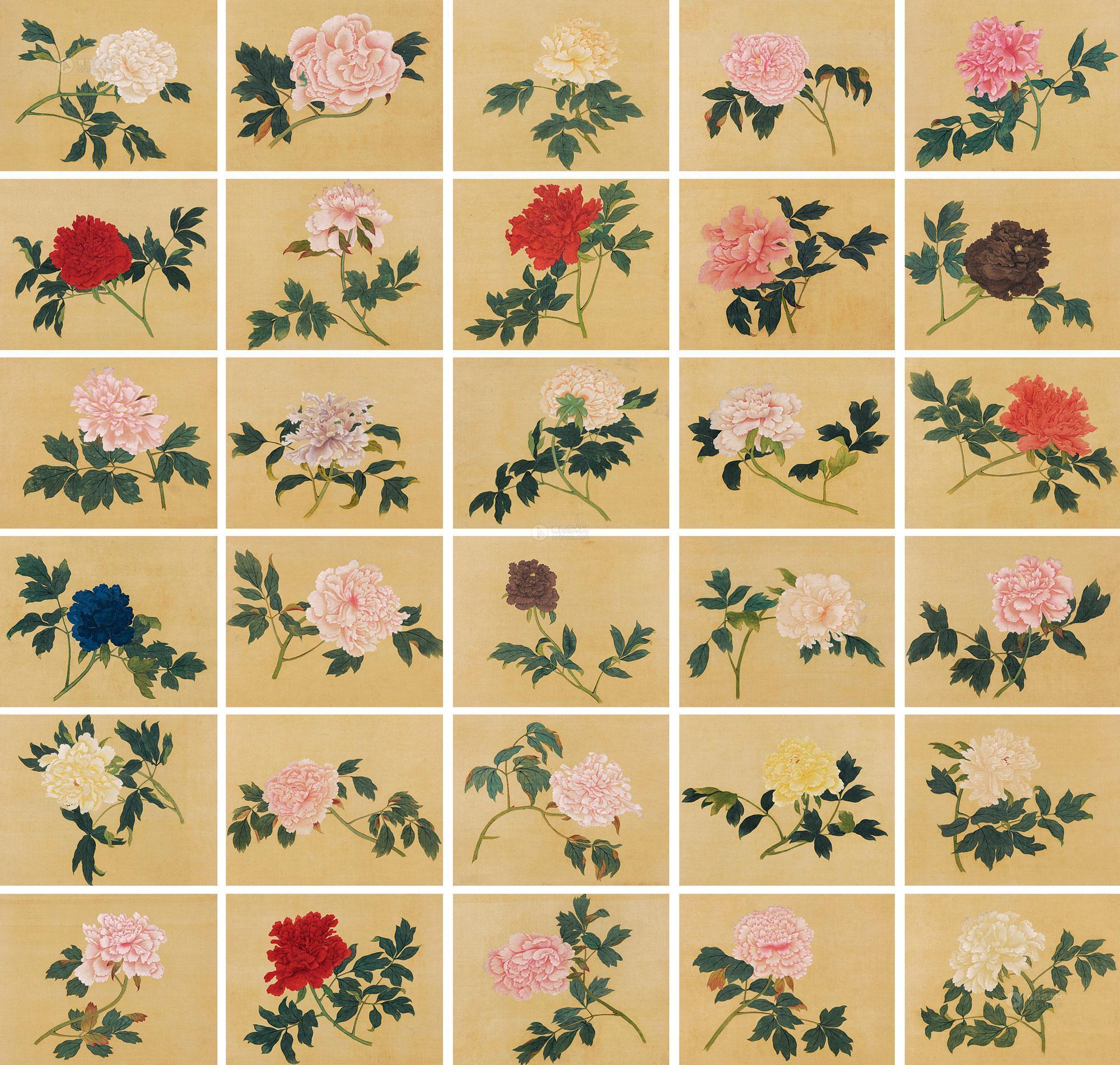 2355 牡丹谱百开册 册页 (一百开选三十) 设色绢本