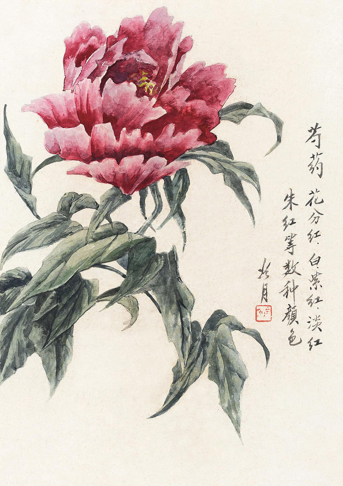 芍药-蕴珍—中国当代水墨-雅昌拍卖