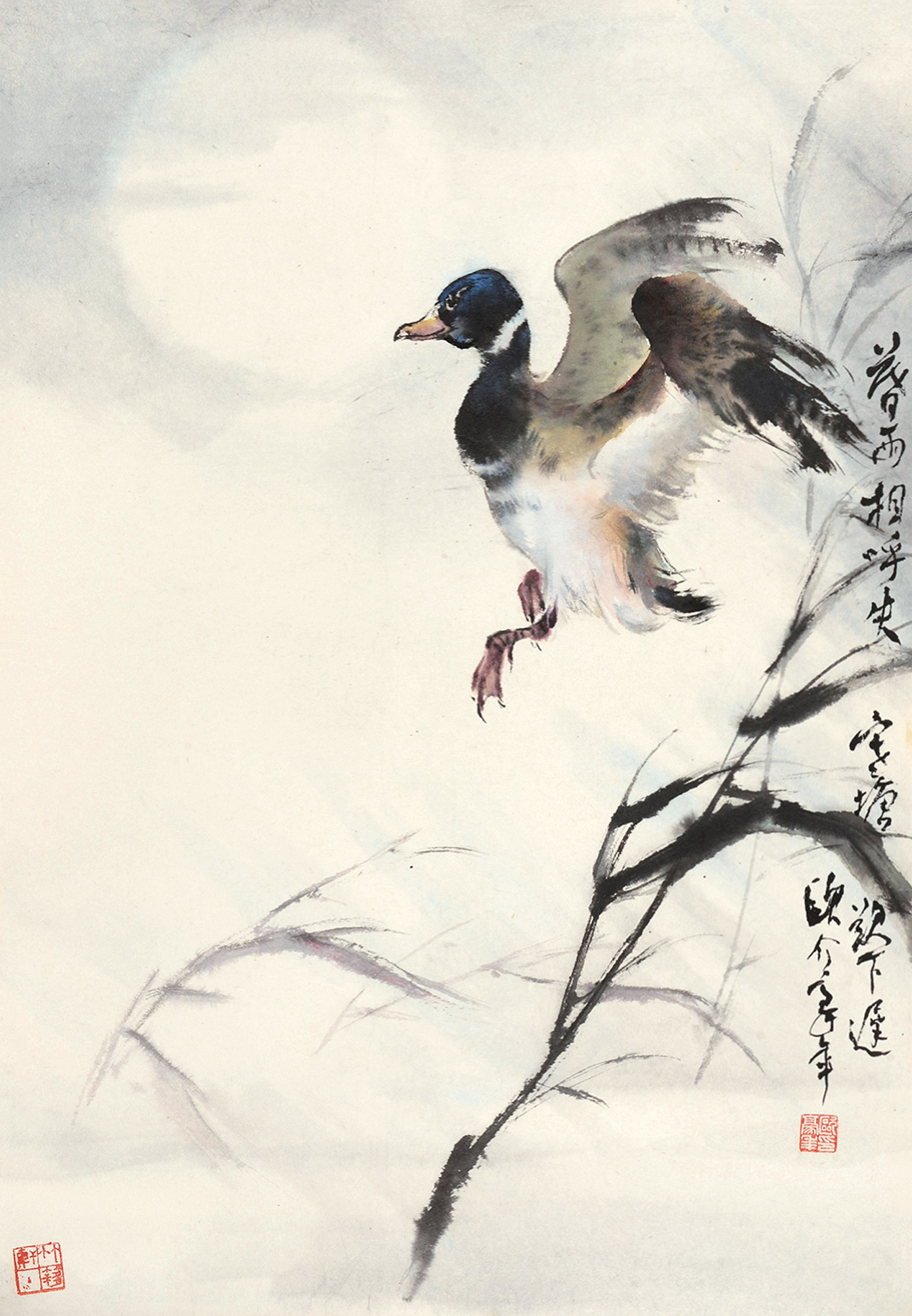 6102芦雁图镜心设色纸本