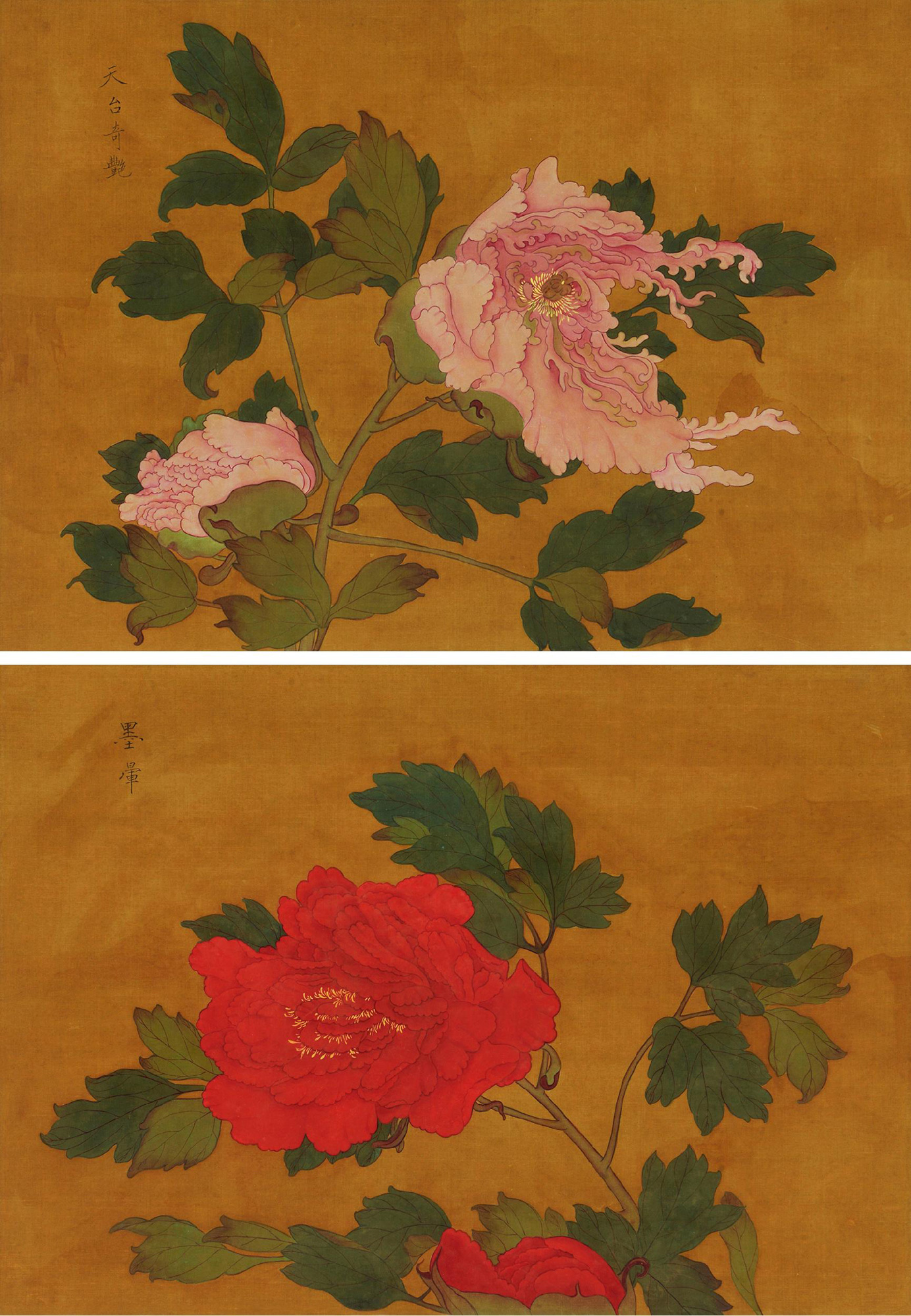 牡丹富贵-同春—中国古代书画专场-雅昌拍卖