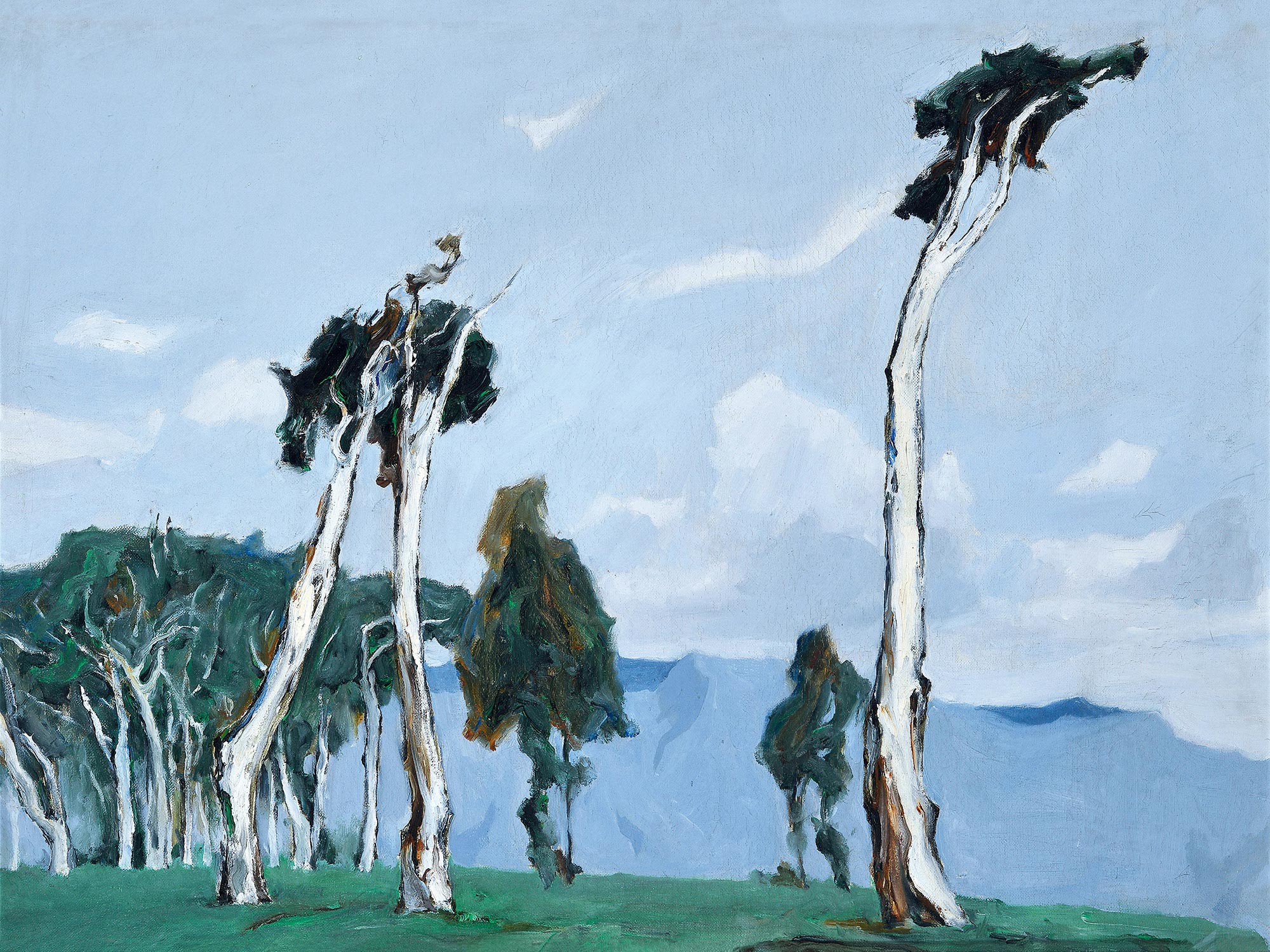 的放大镜,支持鼠标滚轮缩放区域大小超清无损大图图文直播4035韦启美