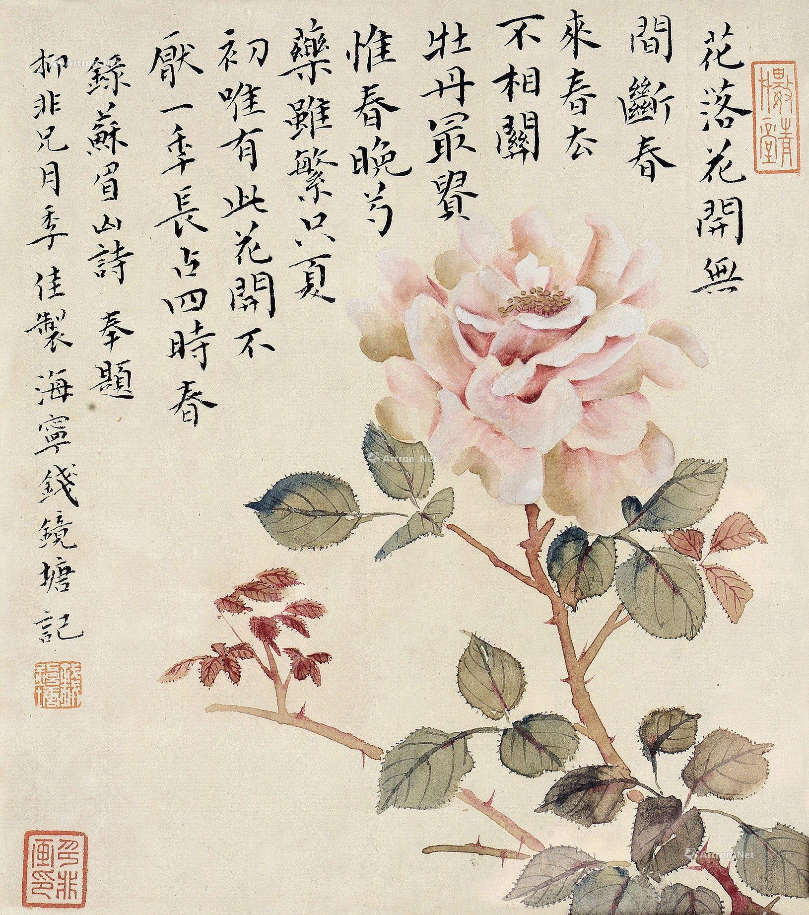 0416 月季 镜心 纸本