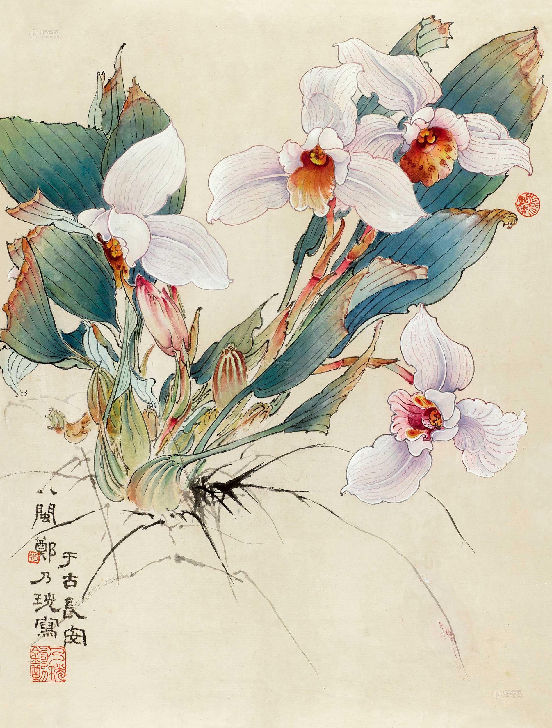 0239 萱花 镜心 纸本