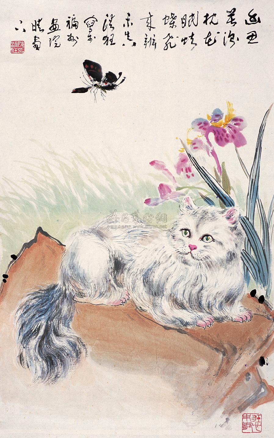 1065 猫蝶 镜心 设色纸本