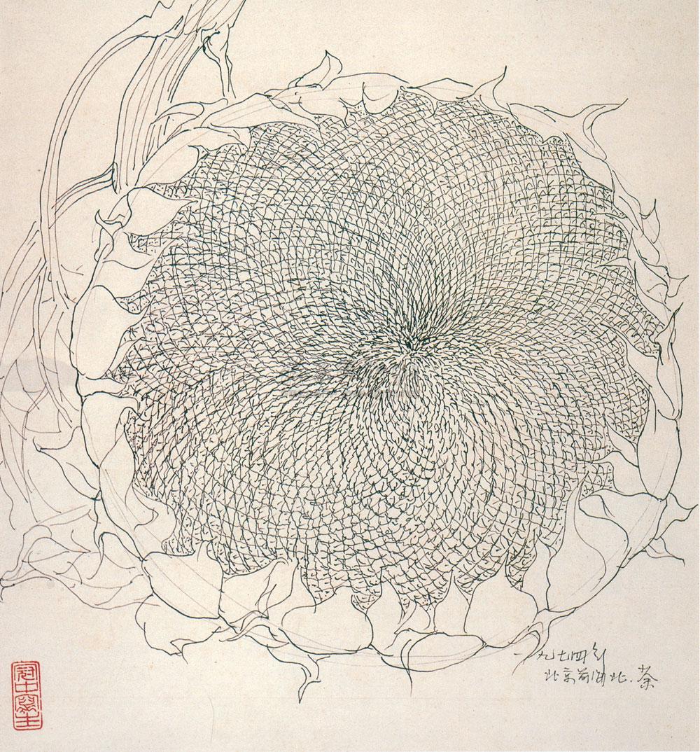 0301向日葵