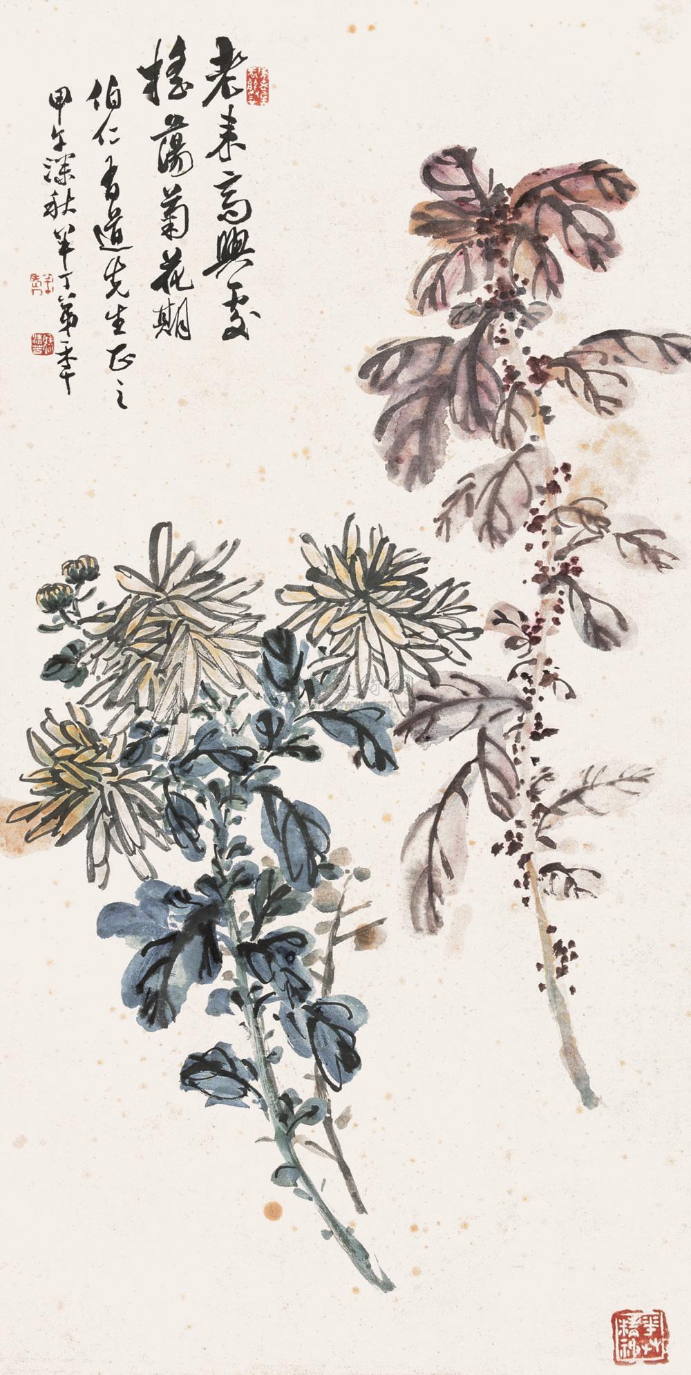 0122 甲午(1954年)作 雁来红菊花 立轴 纸本