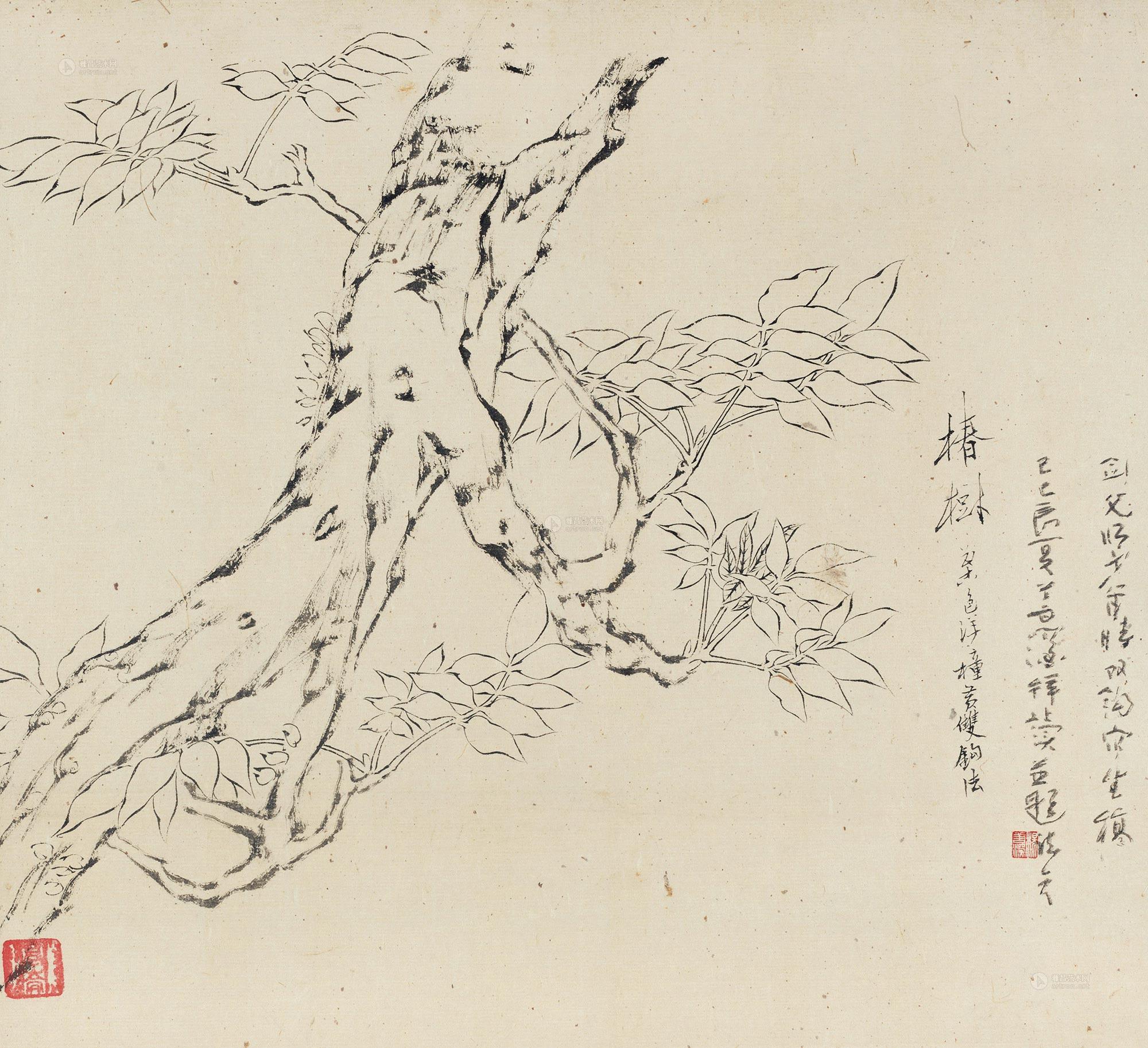 0019椿树写生镜心纸本