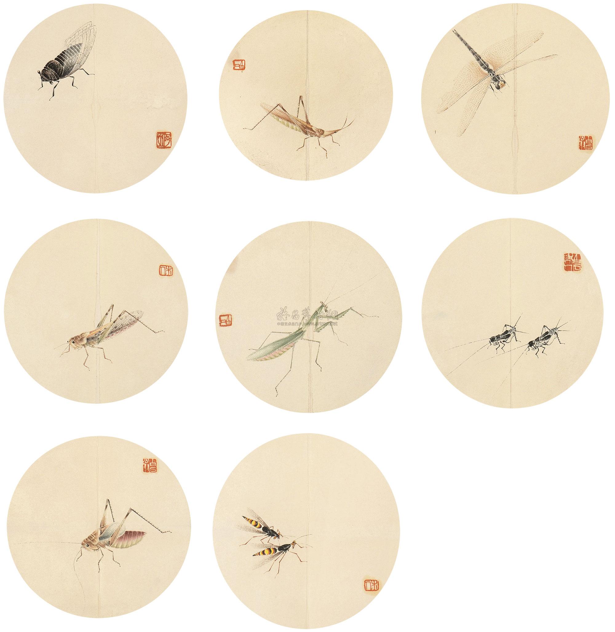 0203草虫册页设色绢本