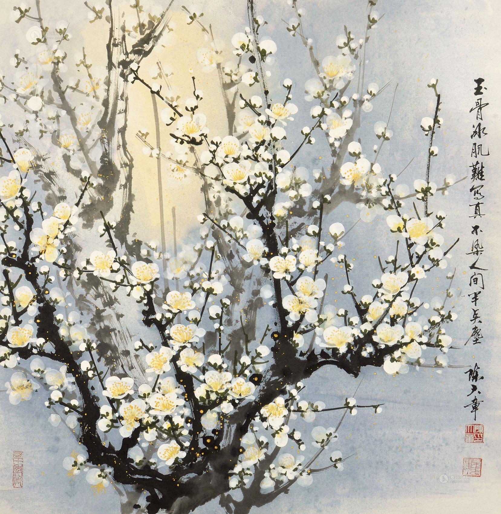 0215 白梅 镜心 纸本