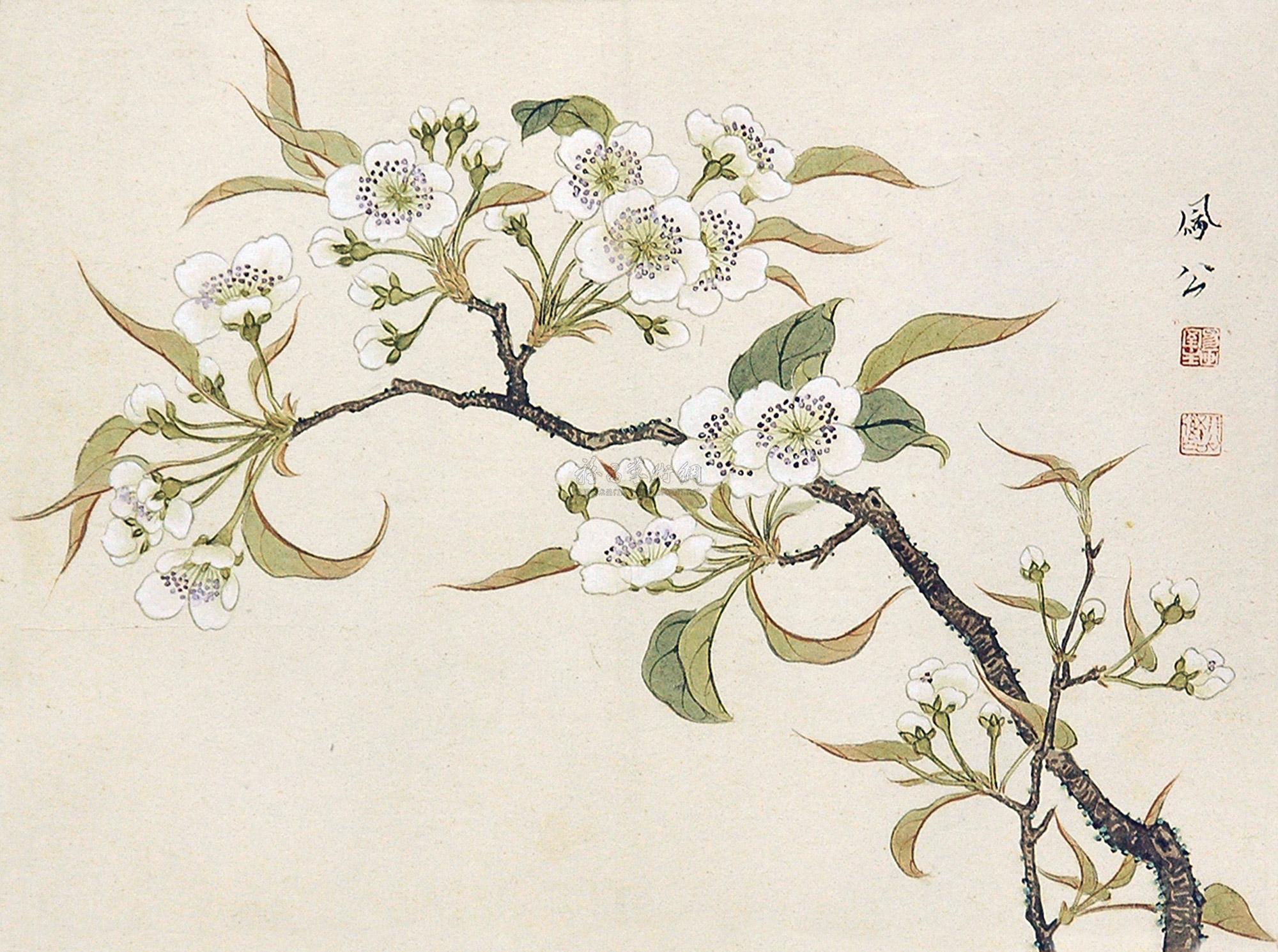 0239梨花镜片设色纸本