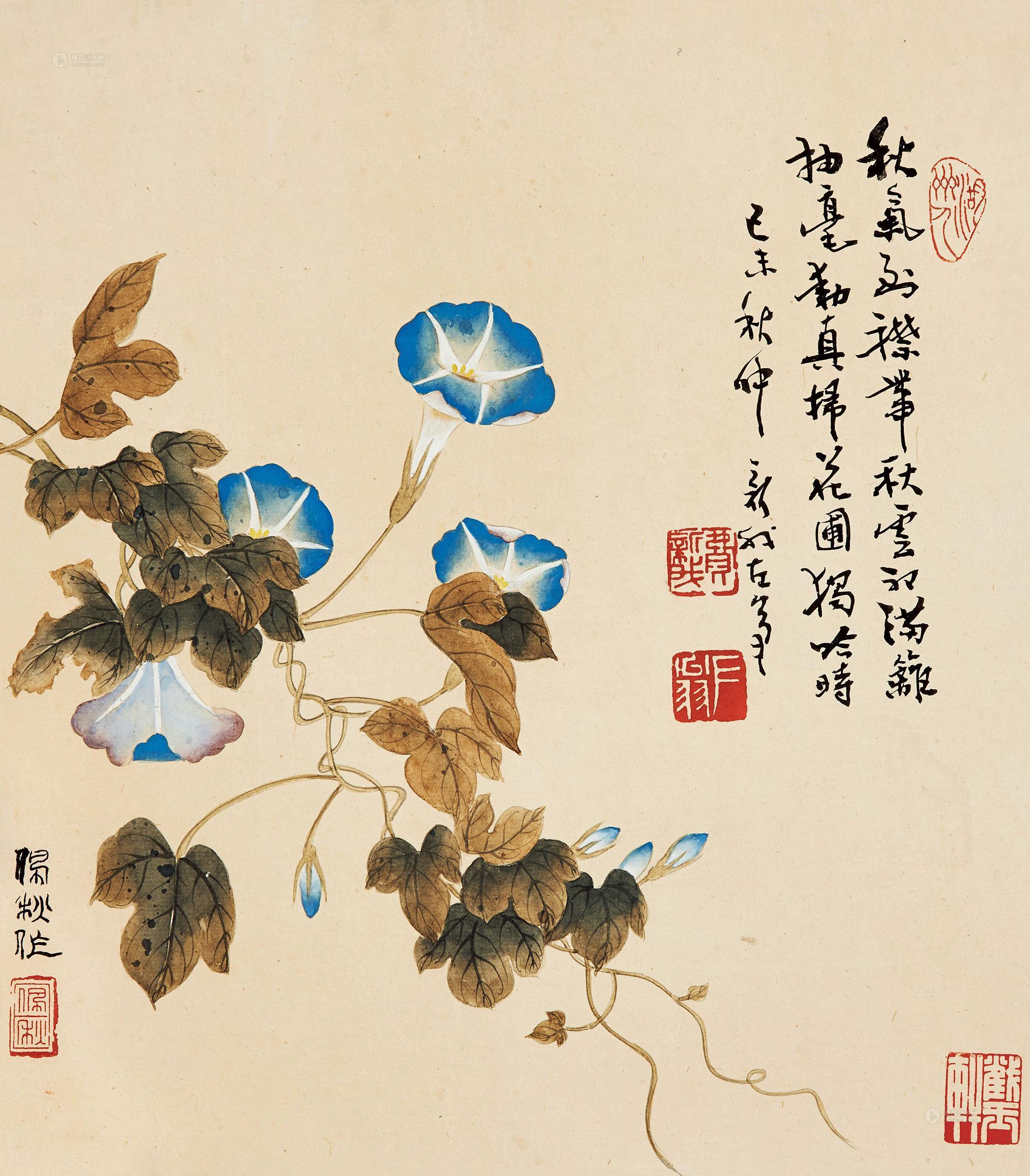 0715 牵牛花 镜心 设色纸本