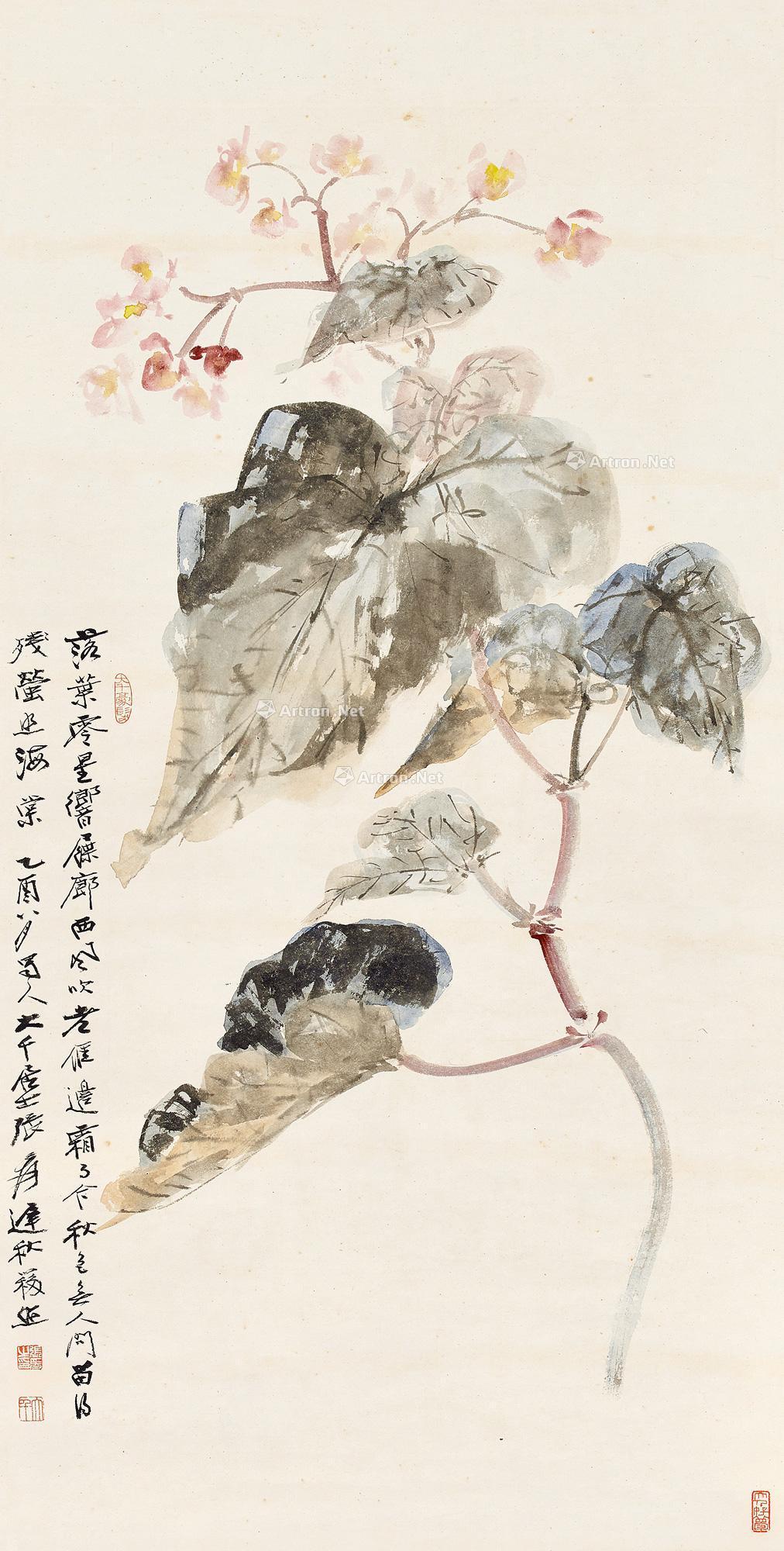 0625 秋海棠 立轴 设色纸本