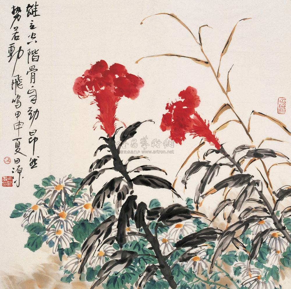 0779鸡冠花镜心设色纸本