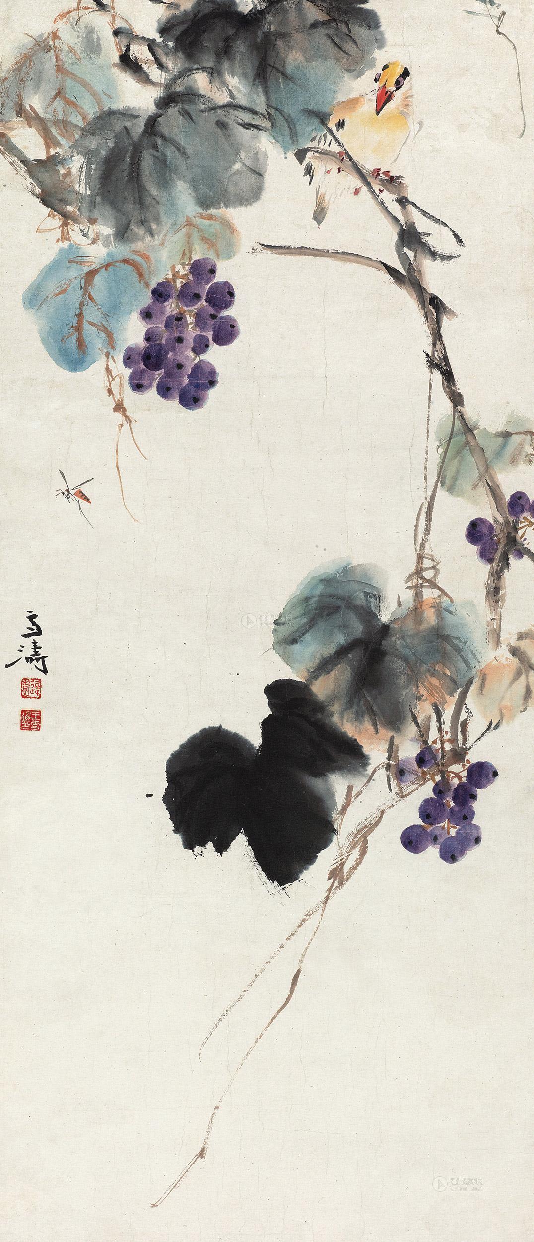 0007 黄鹂葡萄 立轴 设色纸本