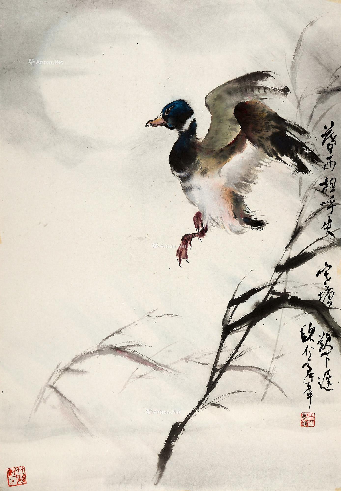 0029孤雁镜片纸本