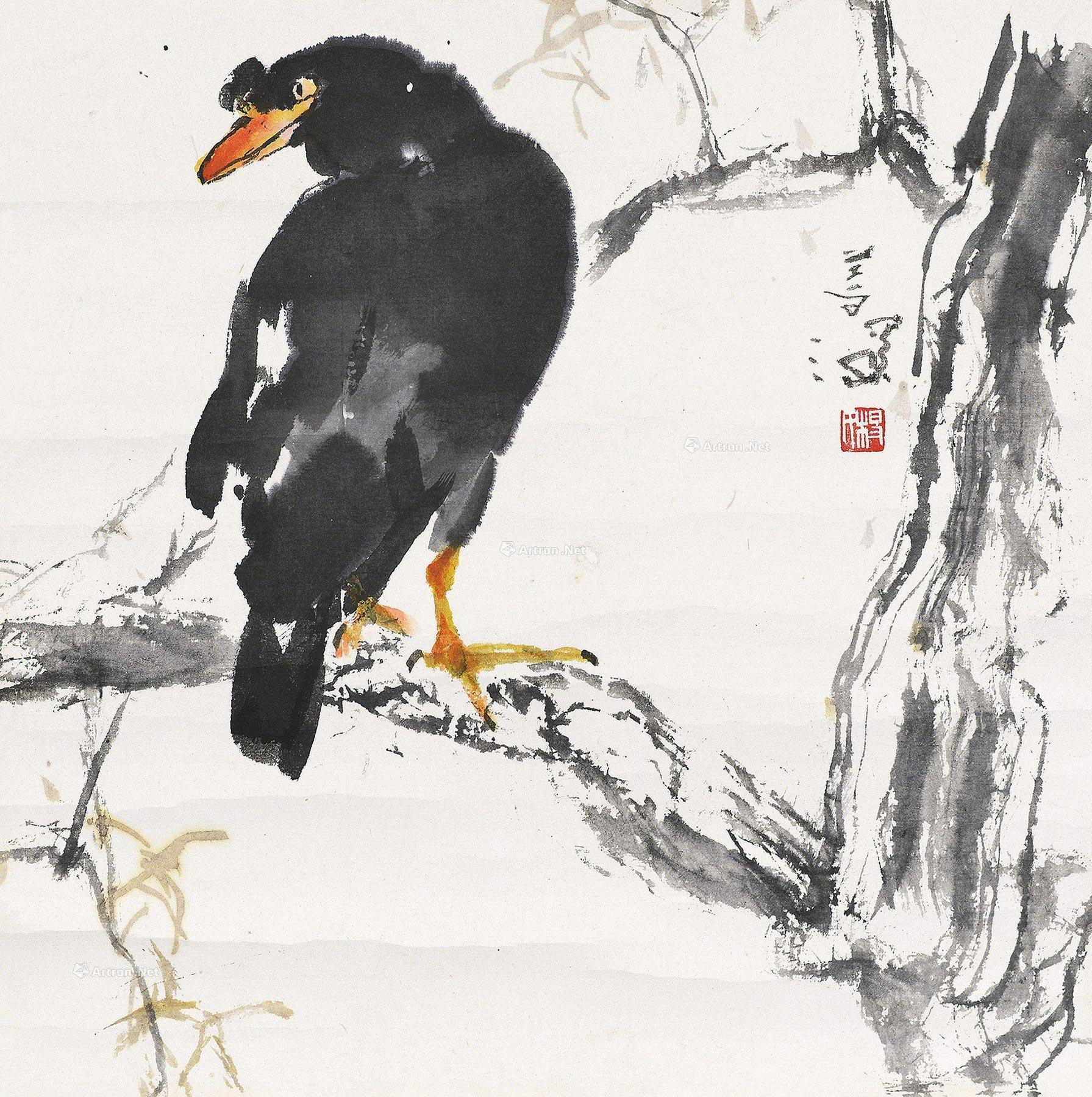 0474八哥镜心设色纸本