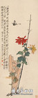 菊石图