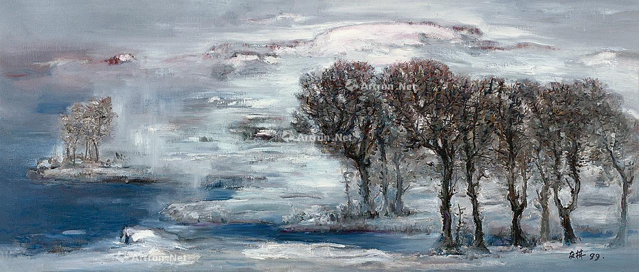 图片中的放大镜,支持鼠标滚轮缩放区域大小0394 高友林 雪原