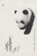 熊猫018