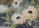 水彩作品—花卉003