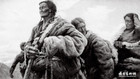 1982年曹勇在青海藏区组化系列