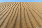 沙韵 Sand Dune