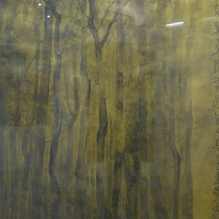 疏影横斜 疏影横斜