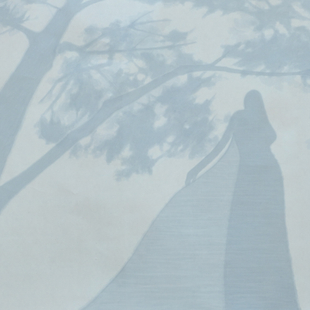 如果系列2 如果系列2