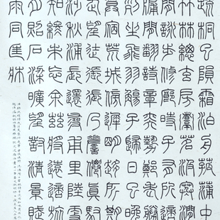 夜泊芙蓉洲走笔寄张炼师 夜泊芙蓉洲走笔寄张炼师